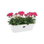 barcelona balkonkasten 50cm weiss